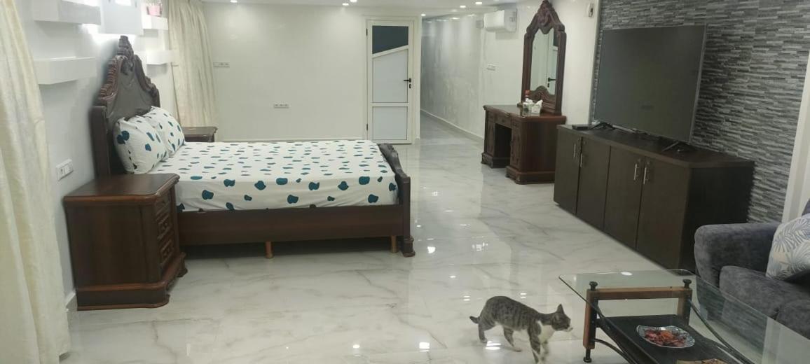 Safi Vacances Dış mekan fotoğraf